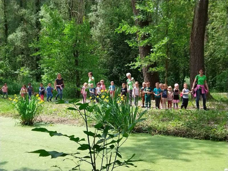 Ovis_kirándulás (2).jpg